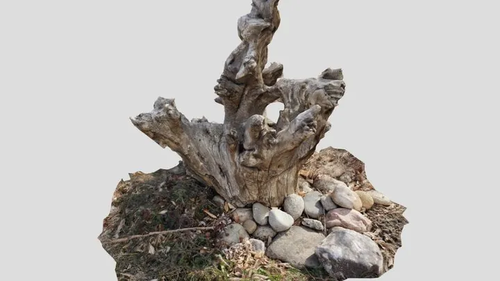 neighborhood stuMp, 3D capture